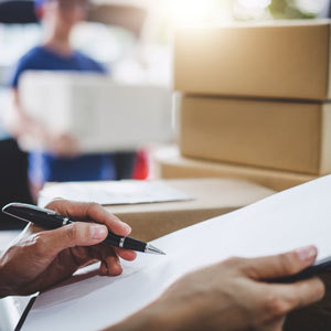 Versandoptionen Lotus Versand